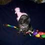 Cindy Ackerman Photo 14