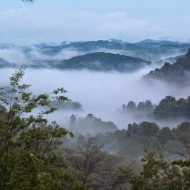 Kimberly Cooper Photo 12