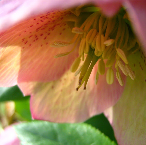 Roger Francis Photo 9