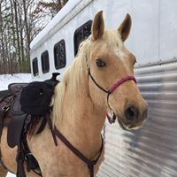 Cheryl Duke Photo 16