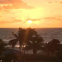 Sharon Collins Photo 15