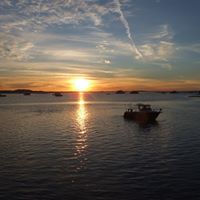 Cheryl Pringle Photo 10