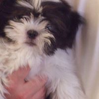 Susan Laird Photo 18 Susan Laird Photo 18