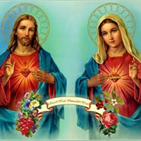 Sandra Reddick Photo 11