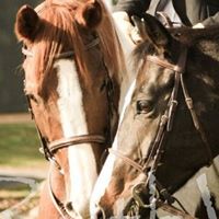 Robin Sheldon Photo 15