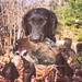 Taylor Hunt Photo 8
