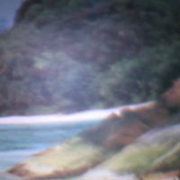 Maria Forrest Photo 8