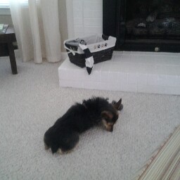 Susan Middleton Photo 28