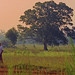 Charles Lott Photo 36
