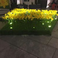 Geraldine Craig Photo 8