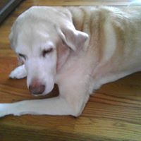 Suzanne Bowman Photo 12