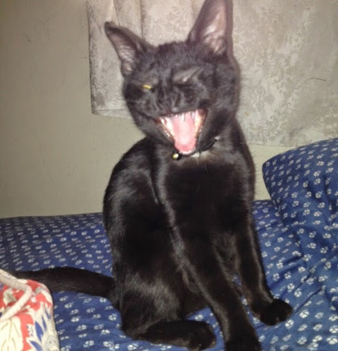 Lucas Howard Photo 14