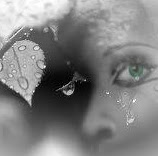 Dawne Webber Photo 4