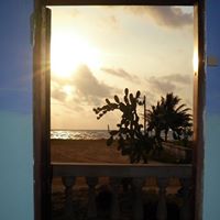 Jon Lang Photo 29 Jon Lang Photo 29