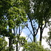 Janet Hawks Photo 22