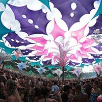 Dorothy Shaw Photo 26