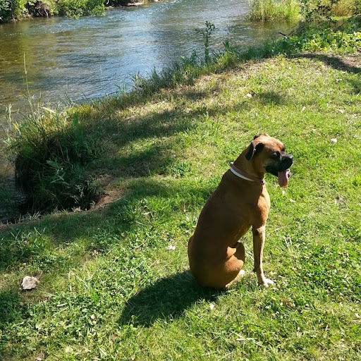 Jill Tschetter Photo 3