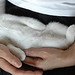 Lisa Arms Photo 29