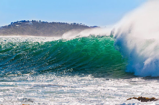 Lisa Morris Photo 44