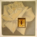 Geraldine Rose Photo 9