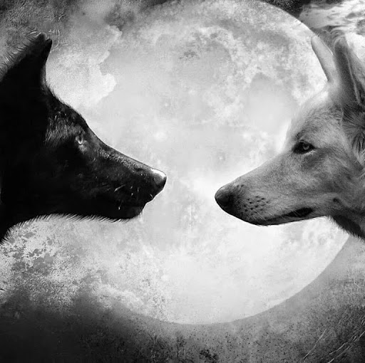 Michael Cloud Photo 26