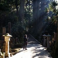 Cheng Lu Photo 28