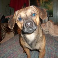 Gerald Thacker Photo 9