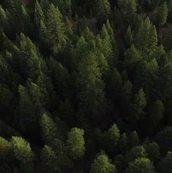 Steve Keith Photo 27