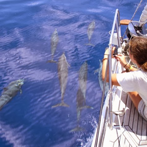 Amber Nolan Photo 14