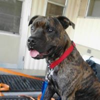 Michael Klink Photo 24