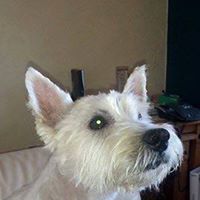 Stephanie Clements Photo 20