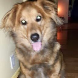 Wilfredo Colon Photo 35