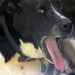 Tammy Vaughn Photo 15