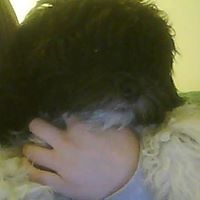 Janice Ricketts Photo 8