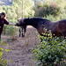 Alison Kent Photo 12