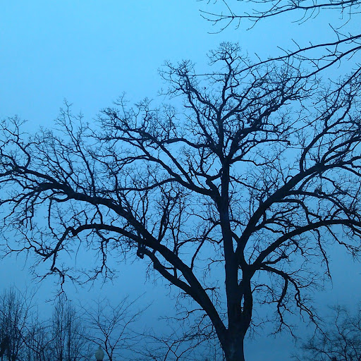 Kathy Perry Photo 26