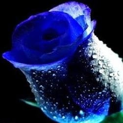 Stefanie Richards Photo 13