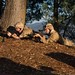 Catherine Doud Photo 10