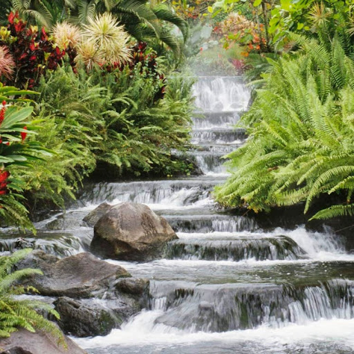 Dorothy Long Photo 35