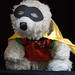 Robin Bear Photo 10