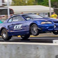 Gino Cavallo Photo 3