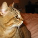 Theodore Abbott Photo 18