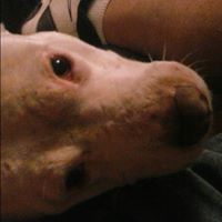 Eugene Goodman Photo 14