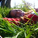 Kristy Fields Photo 15