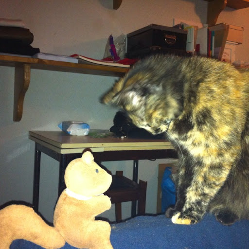 Christine Guerin Photo 16