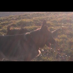 Gerald Cummings Photo 31