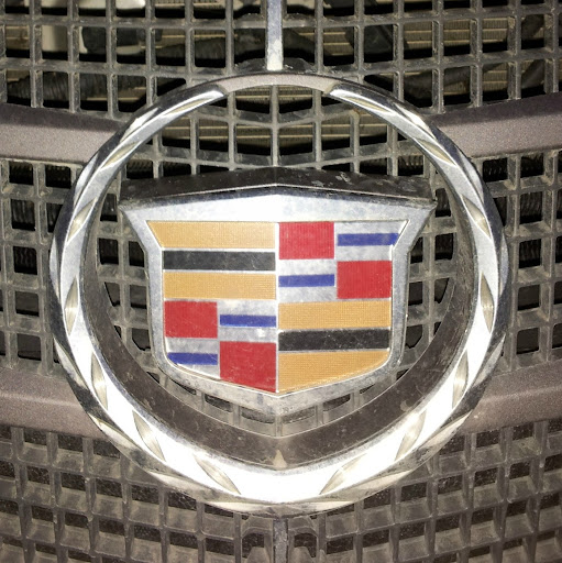 Nancy Lyons Photo 21