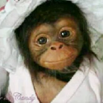 Harold Bonilla Photo 10