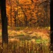 Joy Brooks Photo 7
