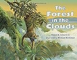The Forest In The Clouds
